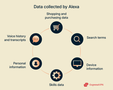A list of some of the different pieces of user data Amazon collects through Alexa devices.