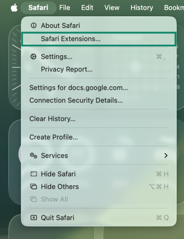 Navigating to the page that shows Safari Extensions.