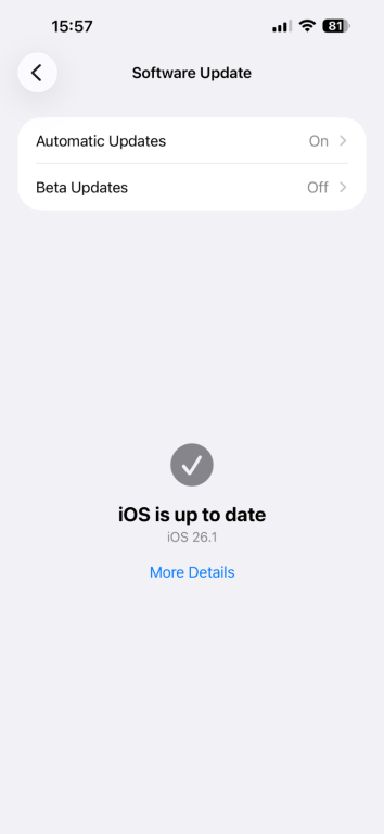 Checking for an iOS system software update.