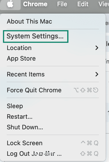 Apple menu showing the System Settings option.