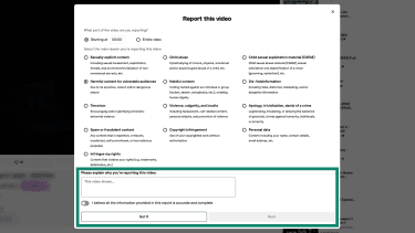 Adding additional info when reporting a video on Dailymotion.