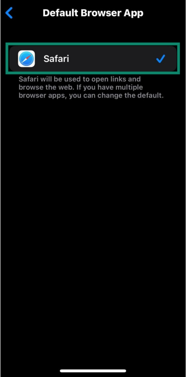 iOS settings screen with Safari app highlighted.