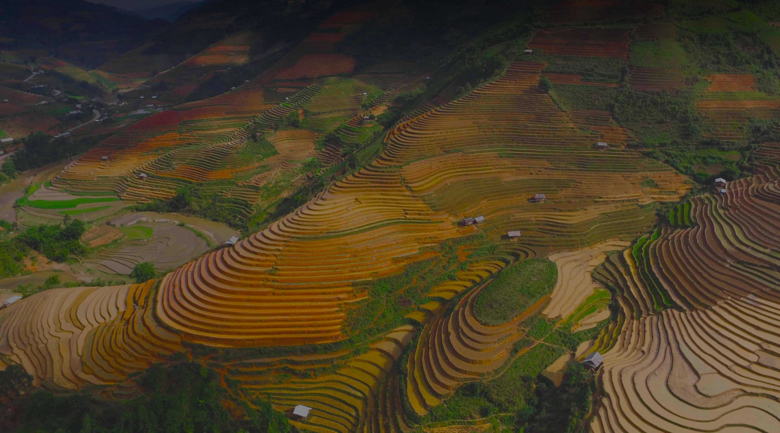 Beste Vietnam VPN dienst