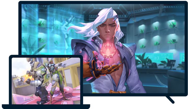 오버워치가 표시된 노트북과 TV